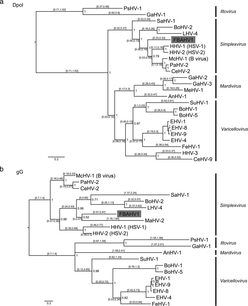 FIG 3