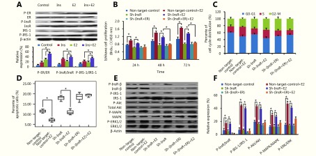 (A) Western blot analysis of the effects of insulin and estradiol treatment on the phosphorylation of ER, InsR, and IRS-1 in Ishikawa cells. (B) BrdU ELISA of the effects of estradiol stimulation on Ishikawa cell proliferation after knockdown of ER and/or InsR. (C) Flow cytometry analysis of the effects of estradiol stimulation on Ishikawa cell cycle distribution after knockdown of ER and/or InsR. (D) The percentage of apoptotic Ishikawa cells (after knockdown of ER and/or InsR) stimulated with estradiol was detected via flow cytometry analysis using Annexin V-FITC antibodies. (E, F) Western blot analysis of the effects of estradiol treatment on the ratios of phosphorylated (p)-InsR/InsR, p-IRS-1/IRS-1, p-Akt/Akt, p-MAPK/MAPK, and p-ERK/ERK in Ishikawa cells after knockdown of ER and/or InsR. *<italic>P</italic> < 0.05 for all experiments.