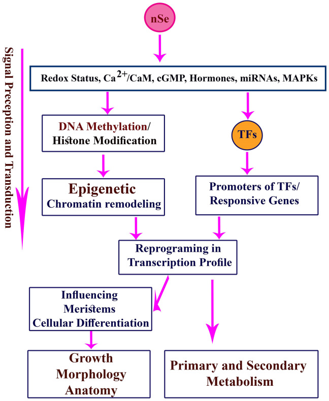 Fig 12