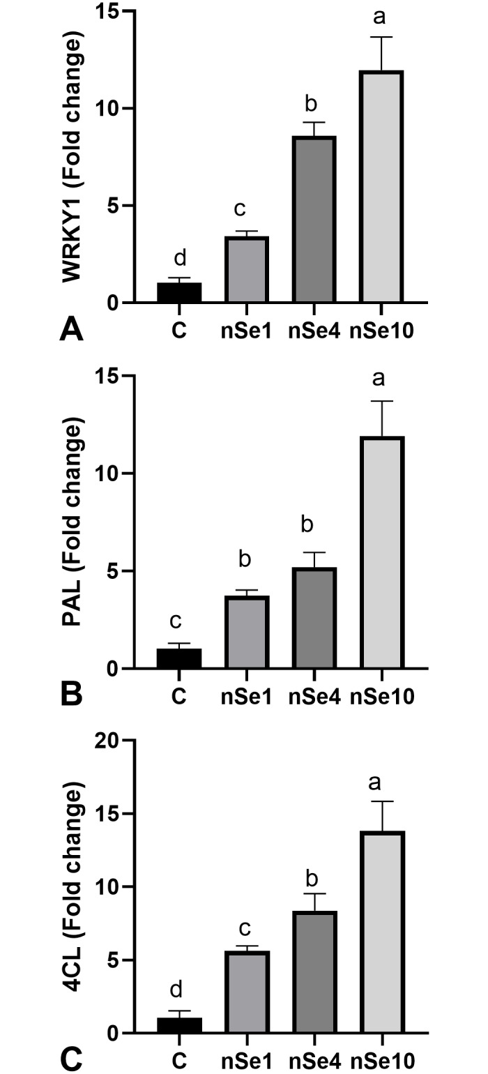 Fig 7