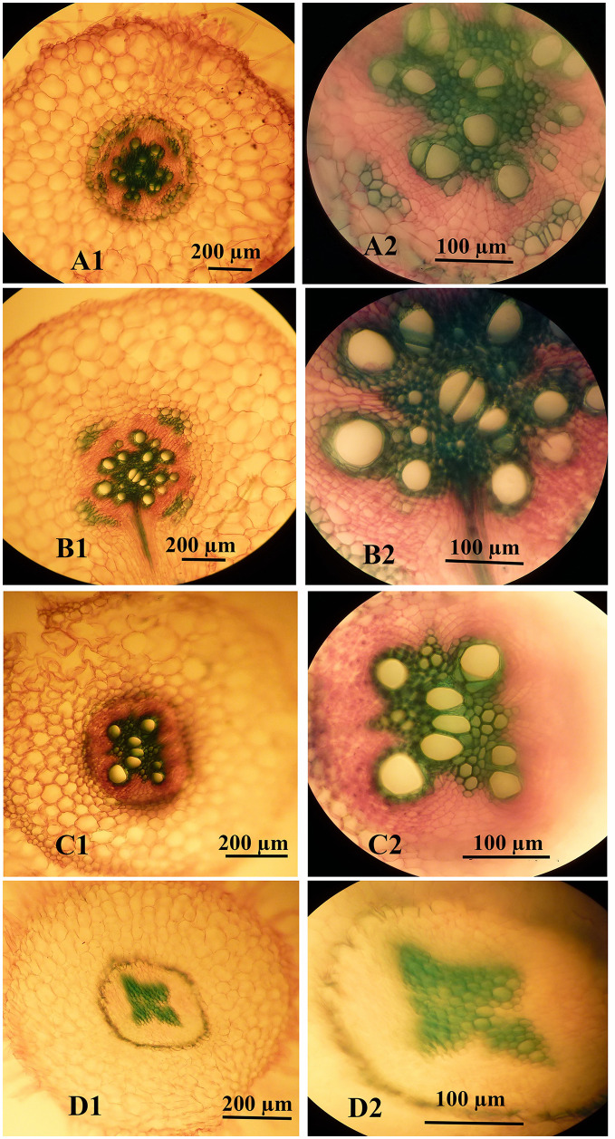 Fig 10