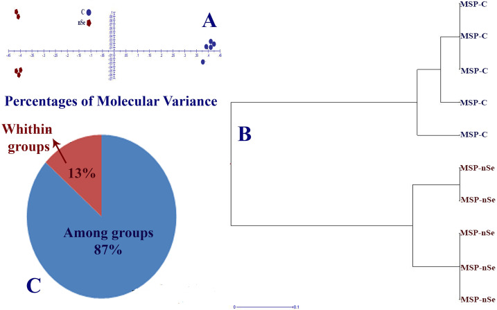 Fig 5