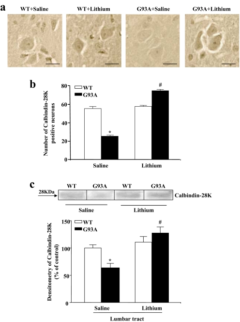 SI Fig. 13.