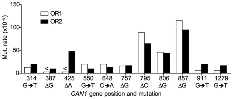 Figure 5