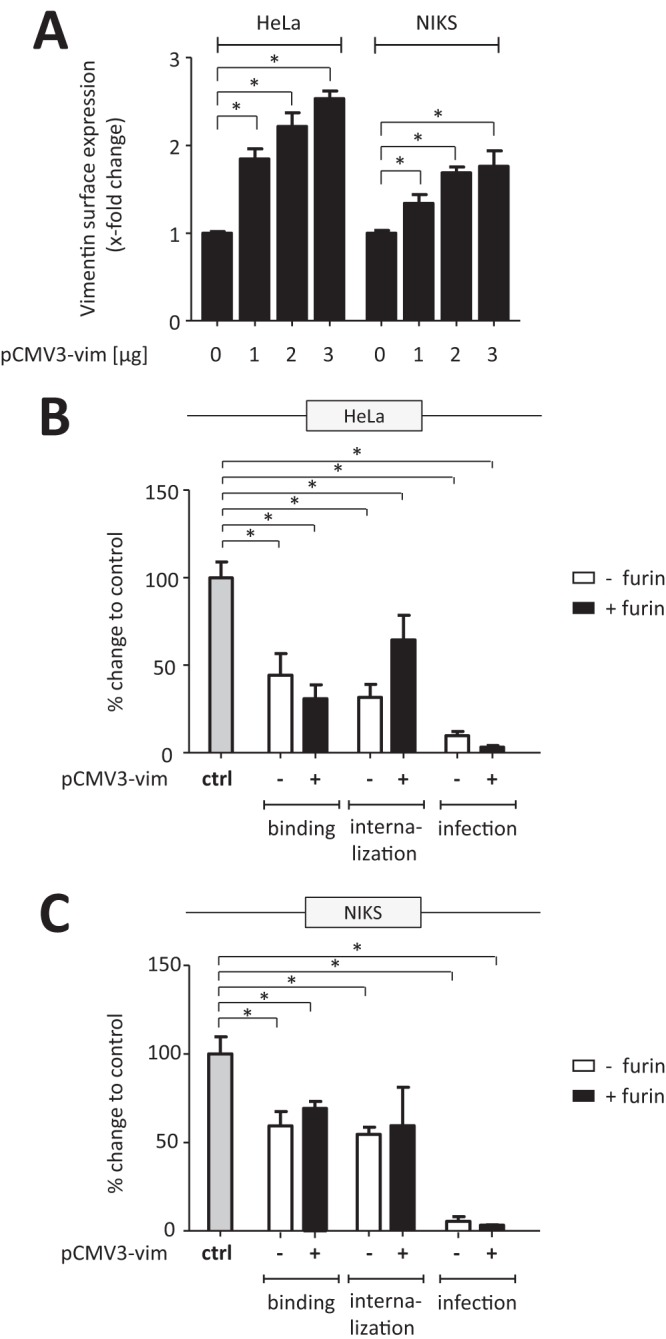 FIG 6