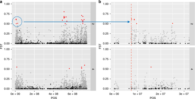 Fig. 4