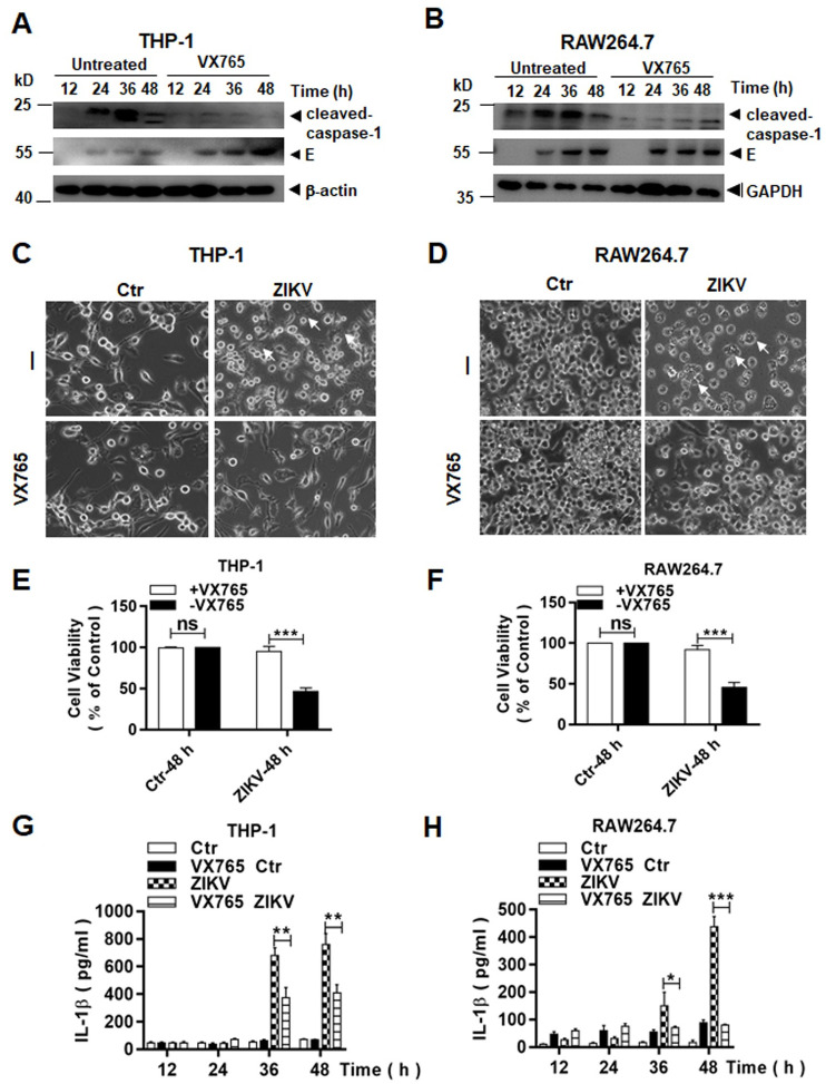 Fig 9