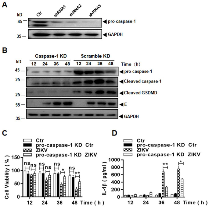 Fig 10