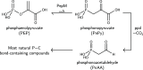 Scheme 4