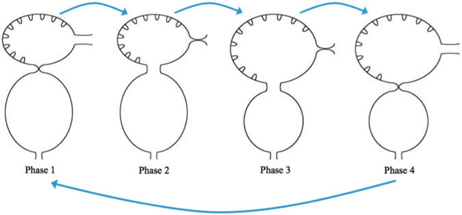 Fig. 4.