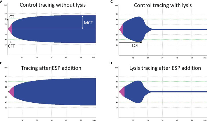 Figure 6
