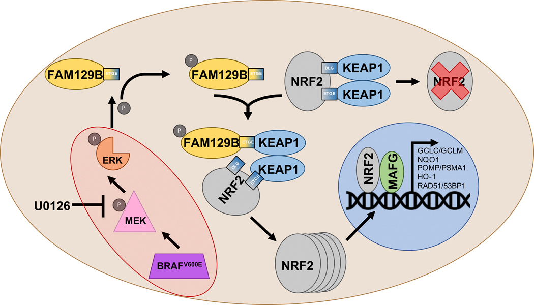 Figure 6: