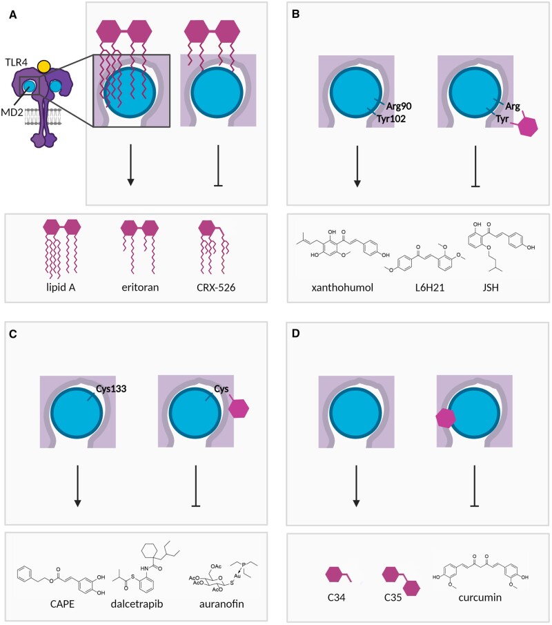 Figure 3.