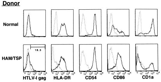 FIG. 6