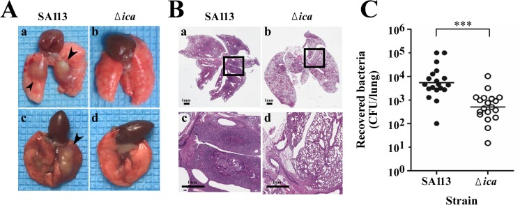 Fig 5