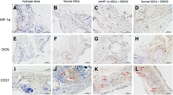 FIG. 8.