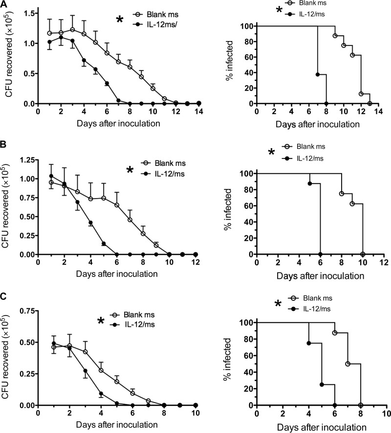 FIG 6 