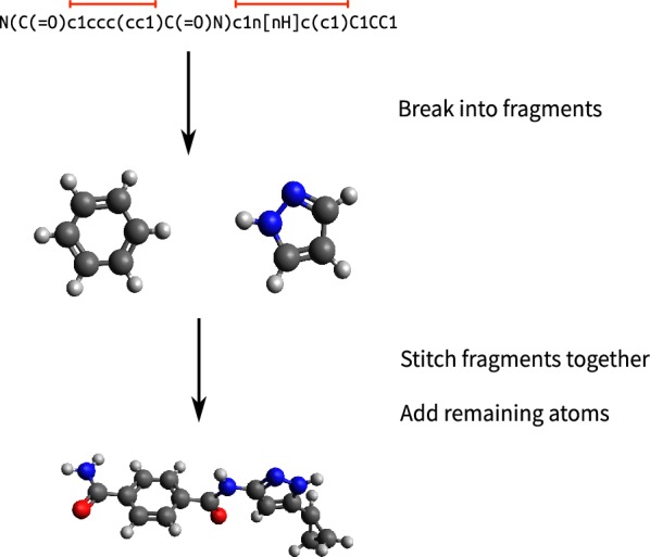 Fig. 1