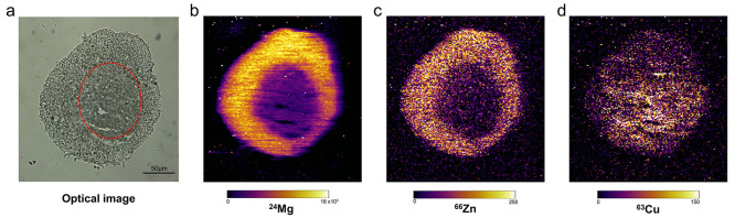 Figure 7