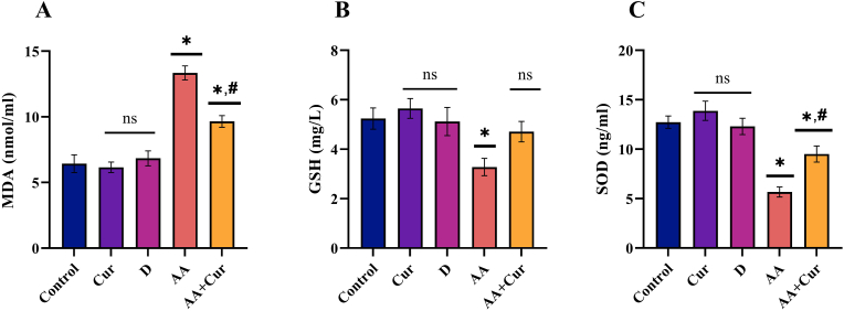 Figure 1