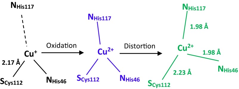 Scheme 1.