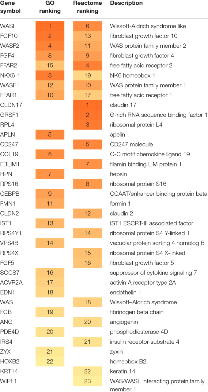 graphic file with name fphys-10-01160-i001.jpg