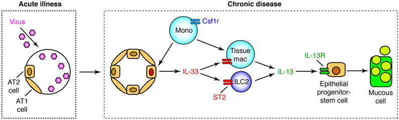 FIGURE 11.