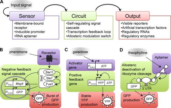 Figure 2.