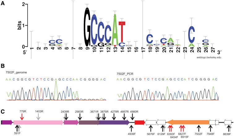 Figure 3.