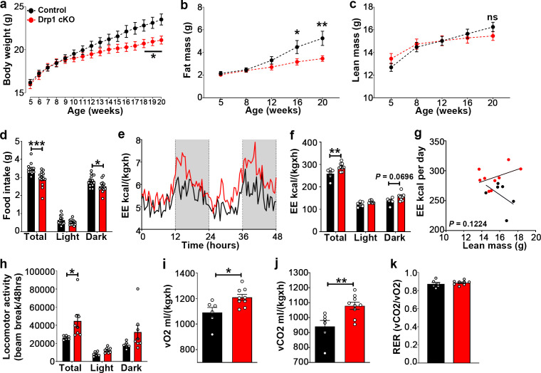 Figure 6—figure supplement 1.