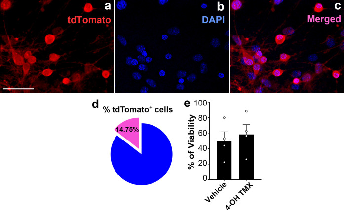 Figure 2—figure supplement 1.