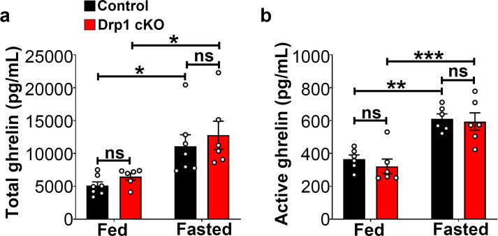 Figure 7—figure supplement 1.