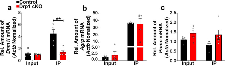 Figure 5—figure supplement 2.