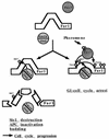 FIG. 7