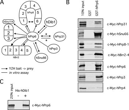 FIGURE 3.