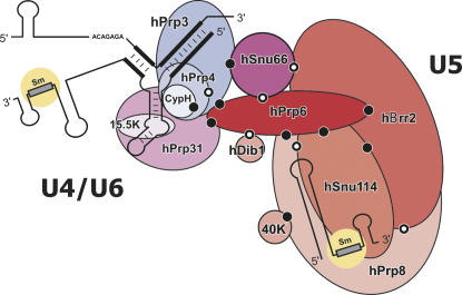 FIGURE 7.