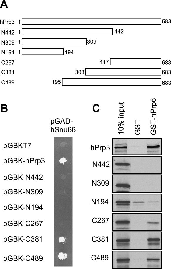 FIGURE 6.