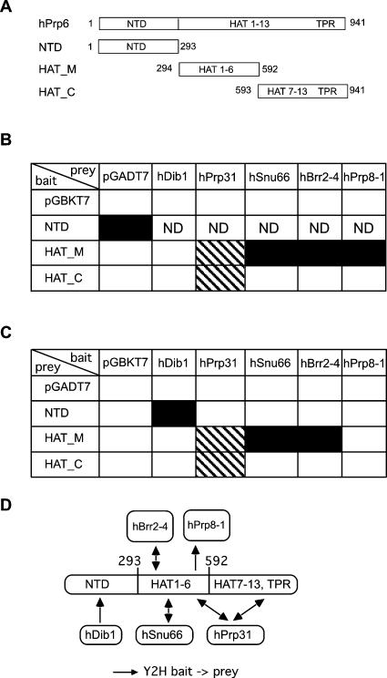 FIGURE 4.