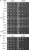 Figure 7.