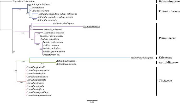 Figure 5