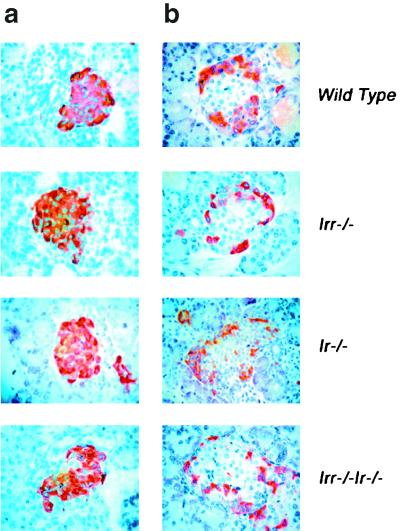 FIG. 8