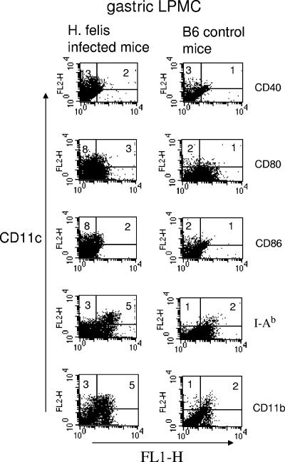 FIG. 1.