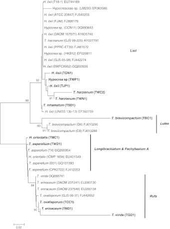 Fig. 1