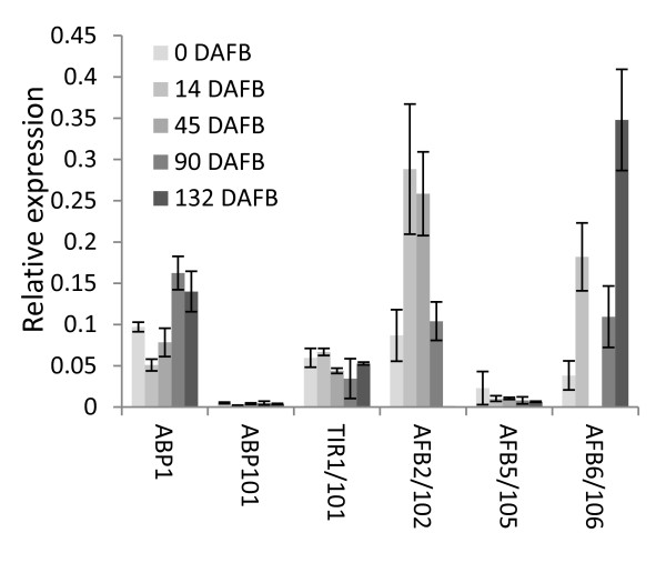 Figure 5