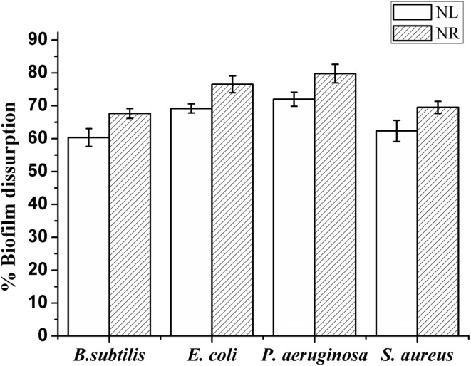 Fig. 10