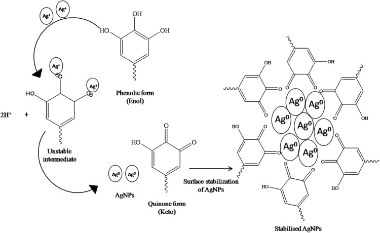 Fig. 7