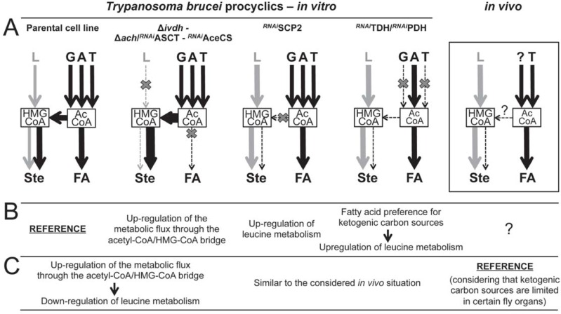 Fig 10