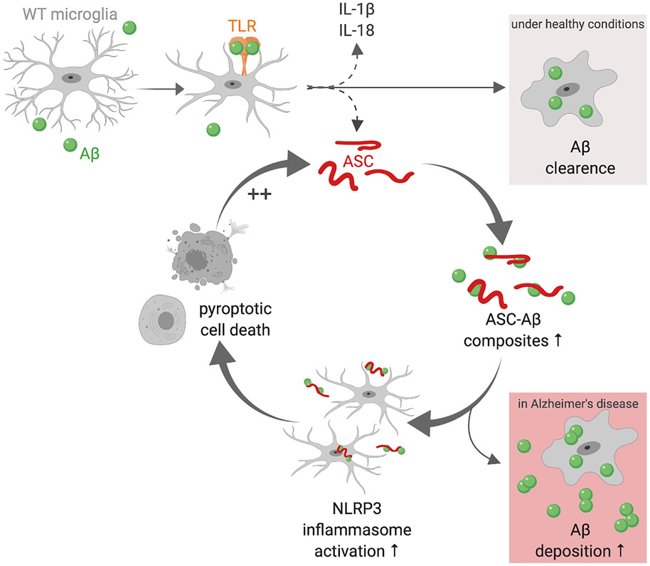 Figure 6.