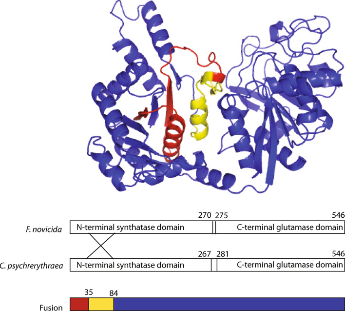 Fig. 3