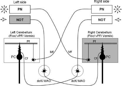 Fig. 9.